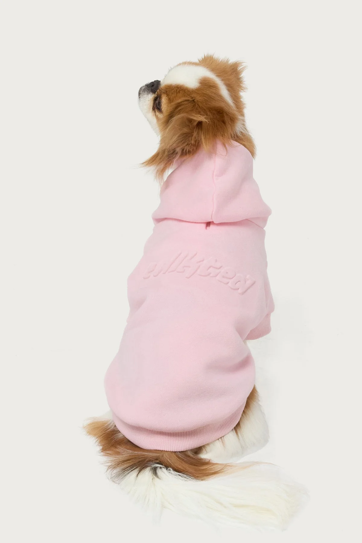 Totally Edikted Pet Hoodie - Image 2