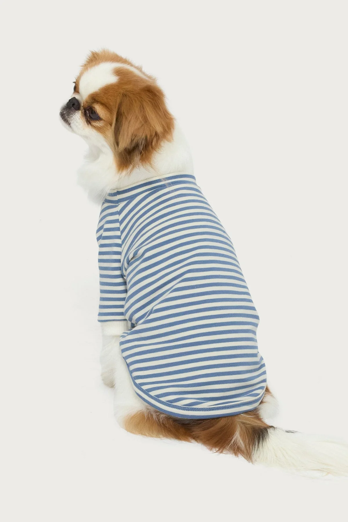 Lilah Striped Pet T Shirt - Image 2